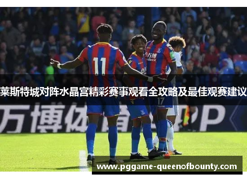 莱斯特城对阵水晶宫精彩赛事观看全攻略及最佳观赛建议