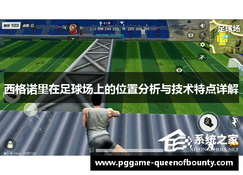 西格诺里在足球场上的位置分析与技术特点详解