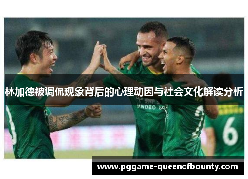 林加德被调侃现象背后的心理动因与社会文化解读分析