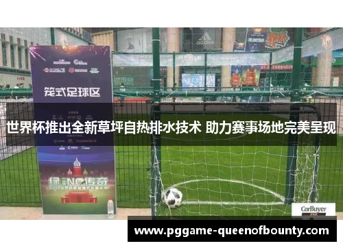 世界杯推出全新草坪自热排水技术 助力赛事场地完美呈现